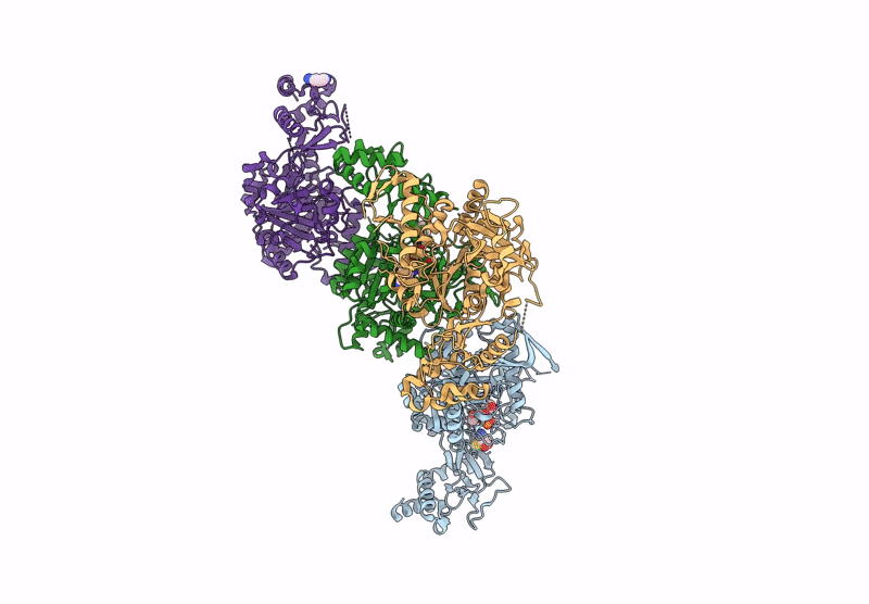 9G53 image