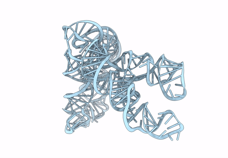 9G56 image