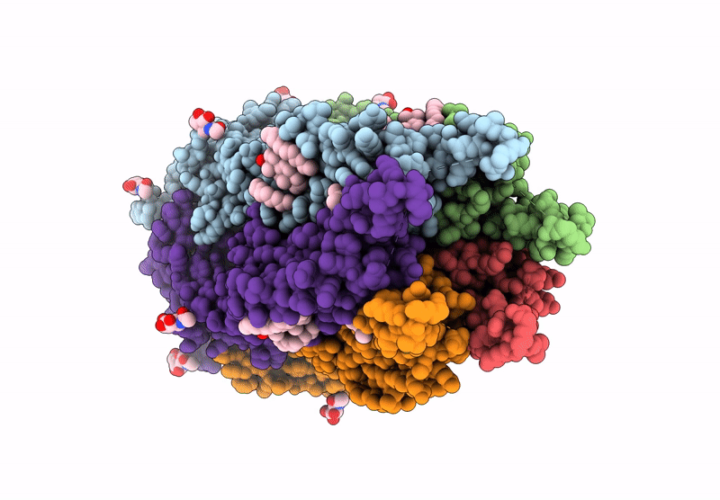 9G57 image