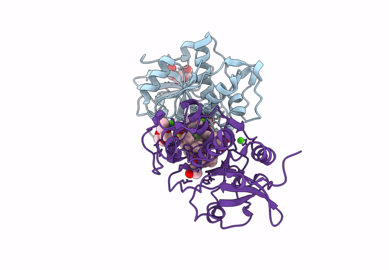 9G6A image