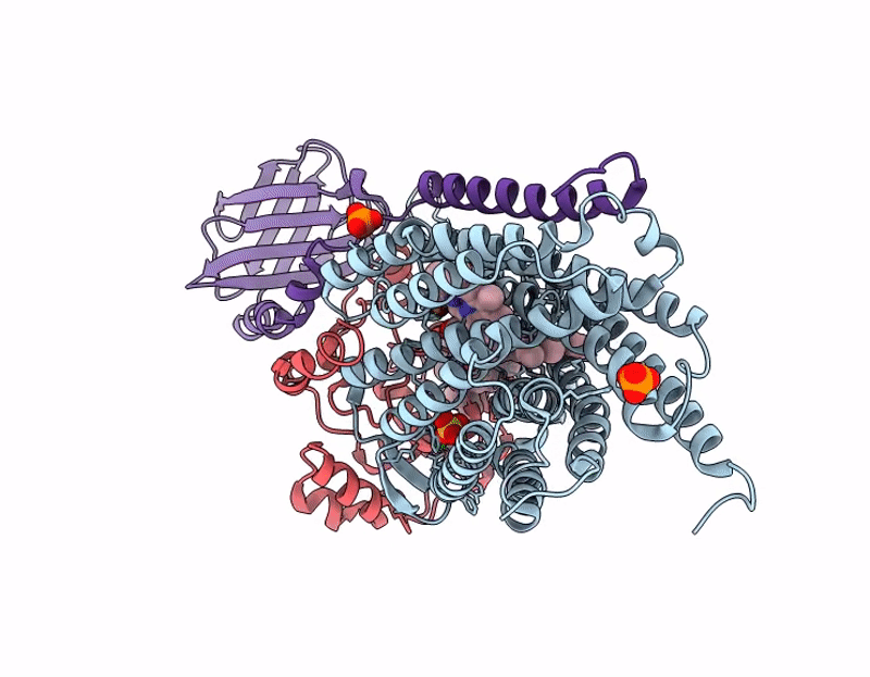 9G6B image