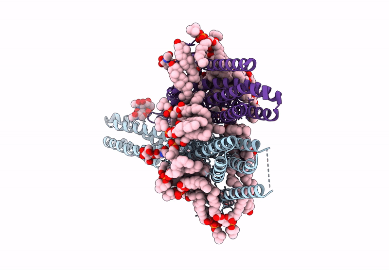 9G71 image