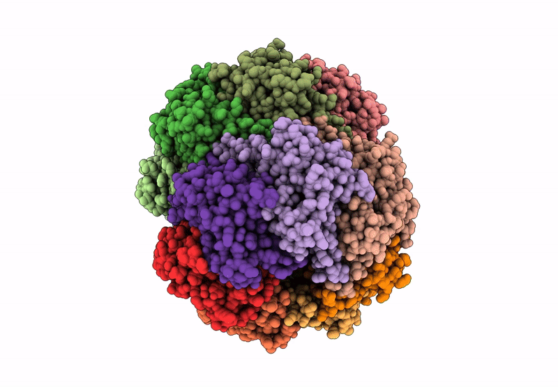 9G72 image