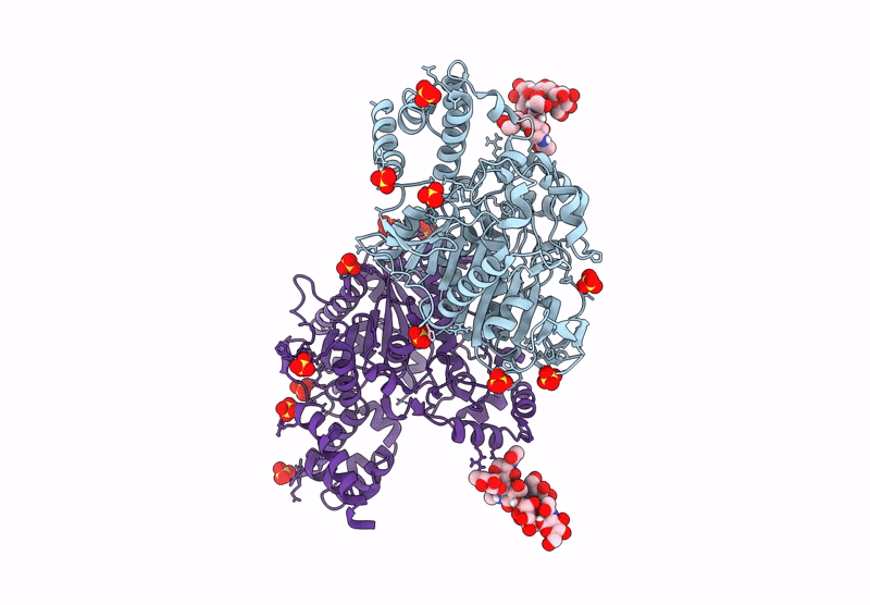 9G73 image