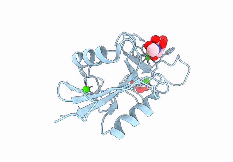 9G76 image