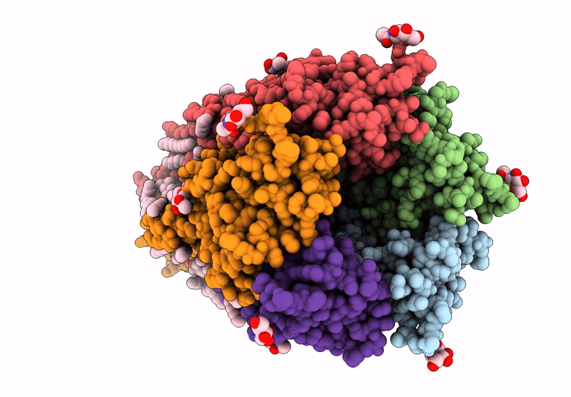 9G78 image