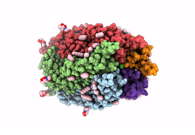 9G7B image