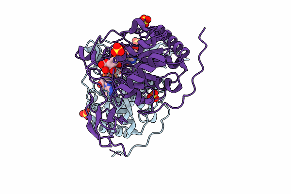 9G7H image