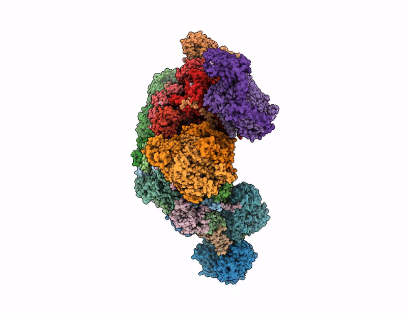 9G83 image