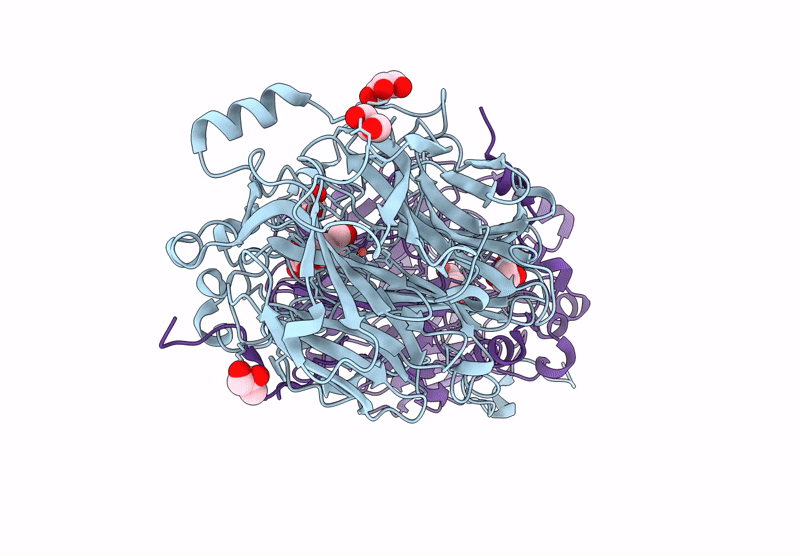 9G89 image