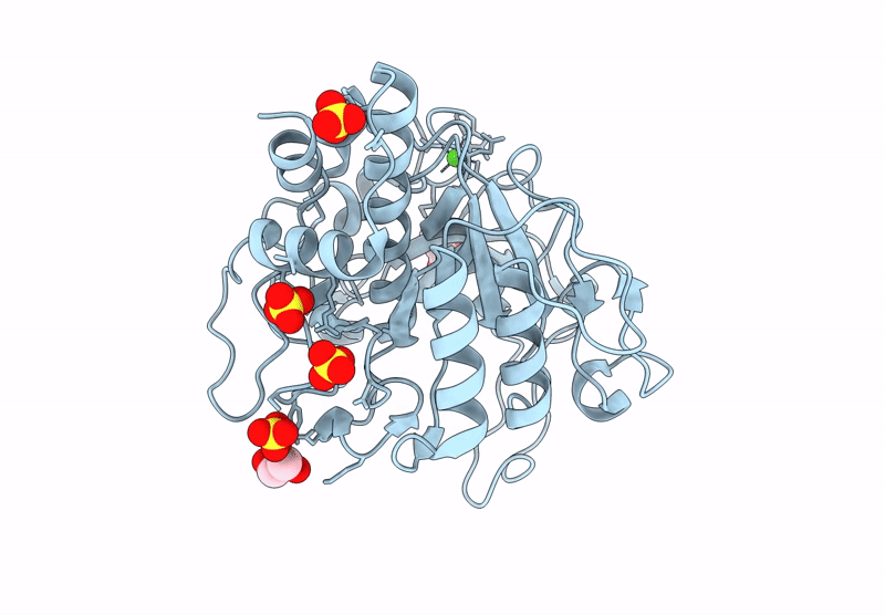 9G8V image