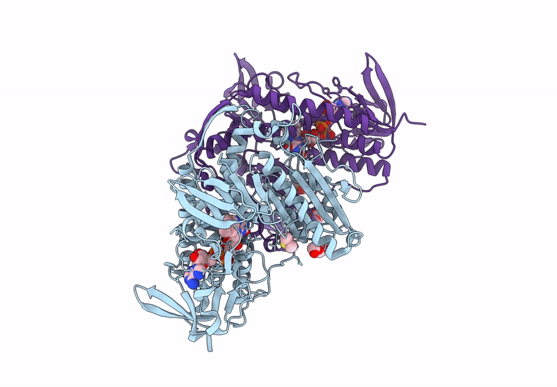 9G92 image