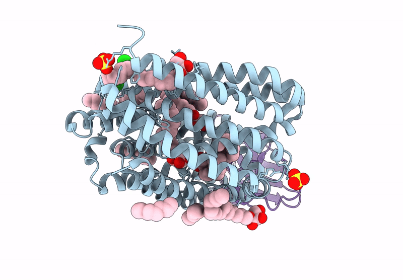 9G95 image