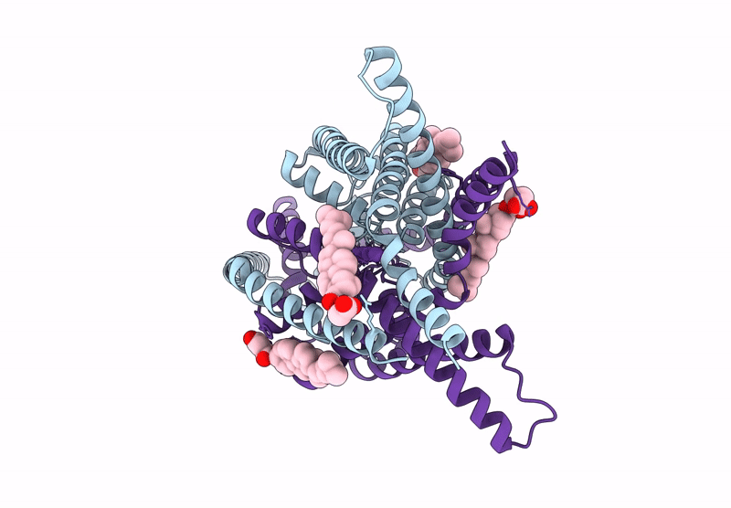 9G9V image