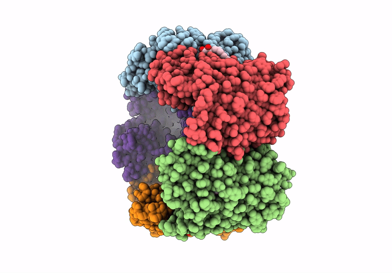 9GA1 image