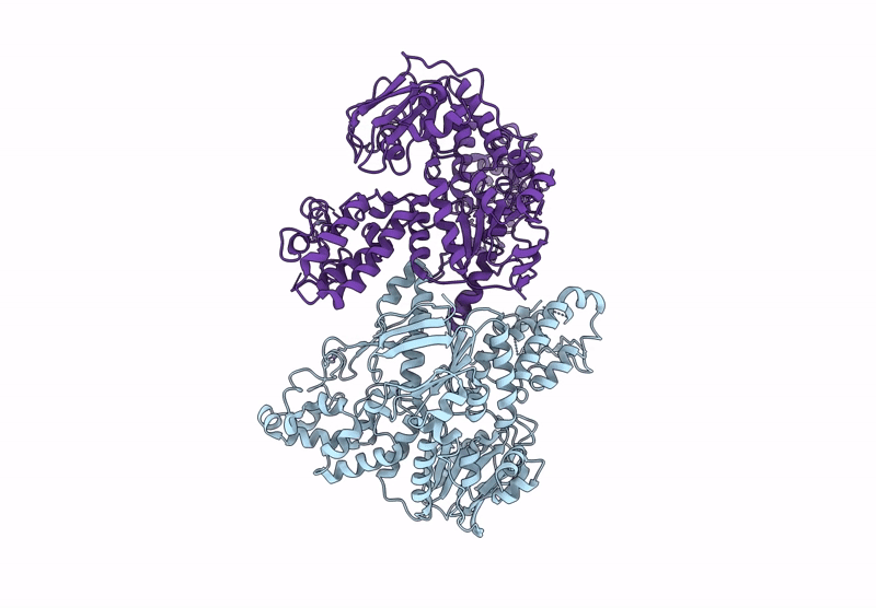 9GA2 image