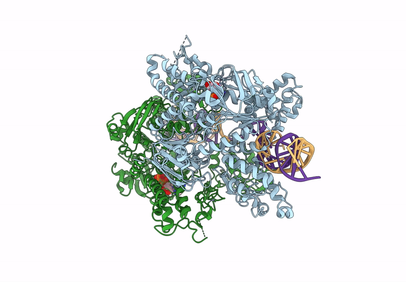 9GA5 image