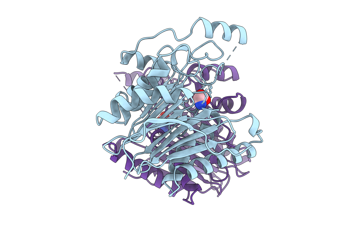 9GAC image