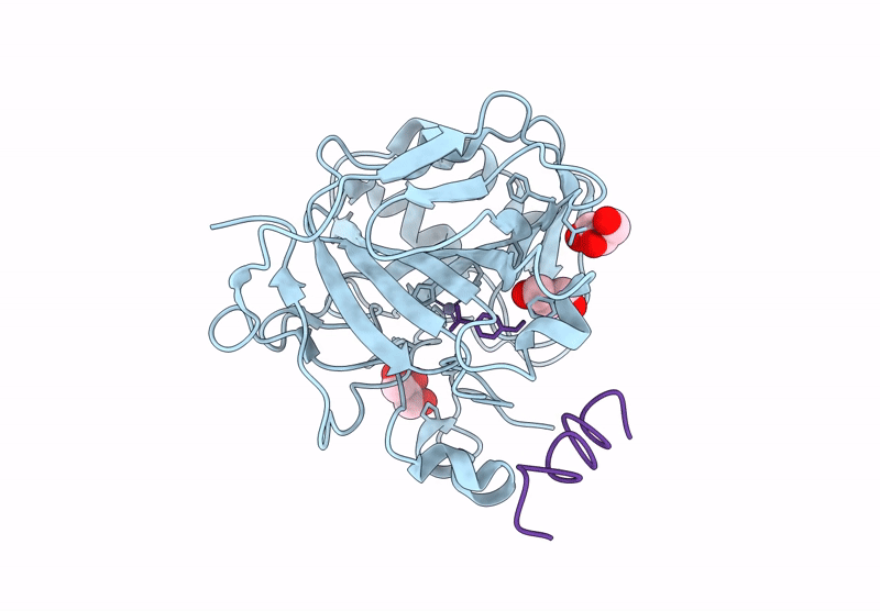 9GAK image