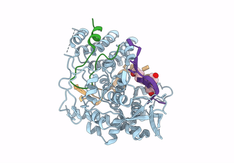 9GAS image