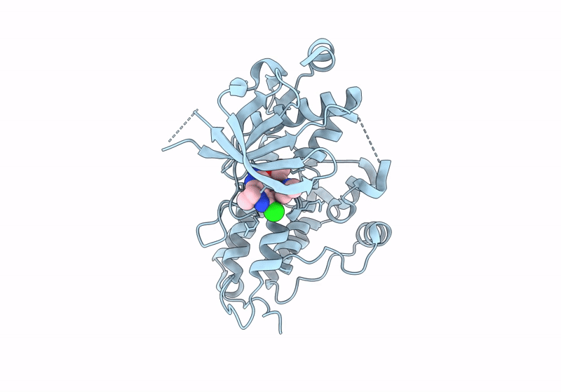 9GBE image
