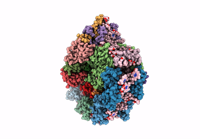 9GBI image