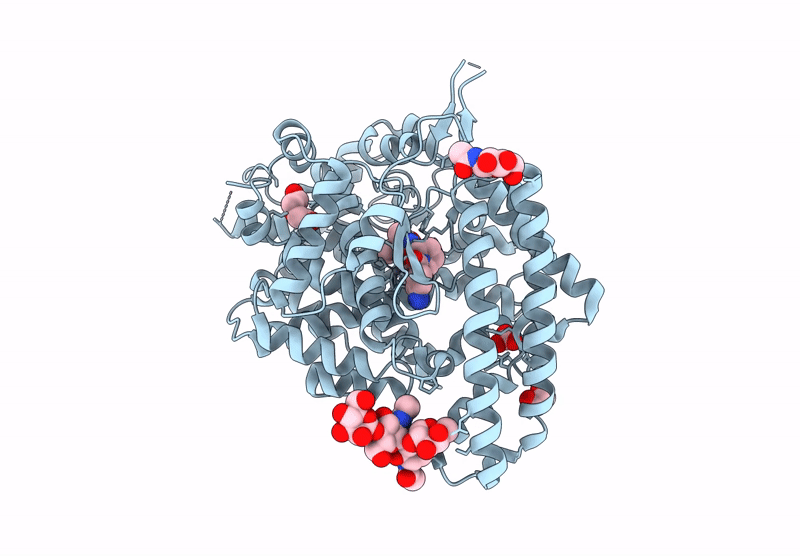 9GBM image