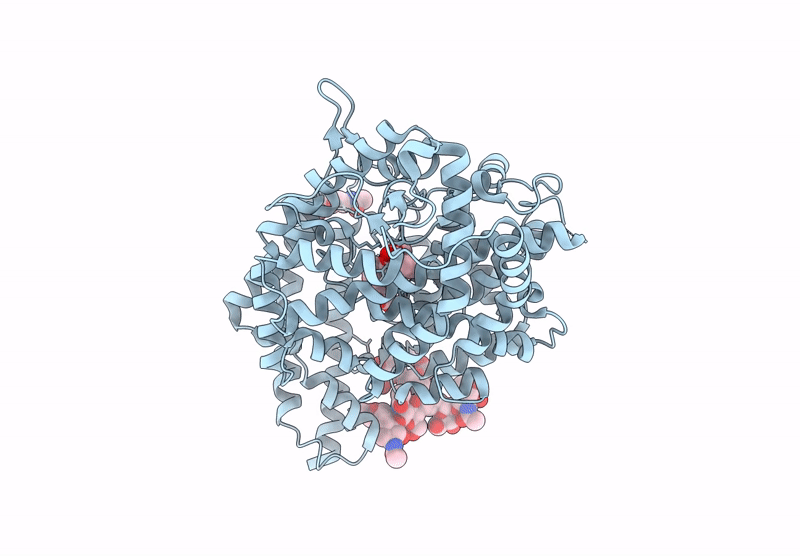 9GBO image