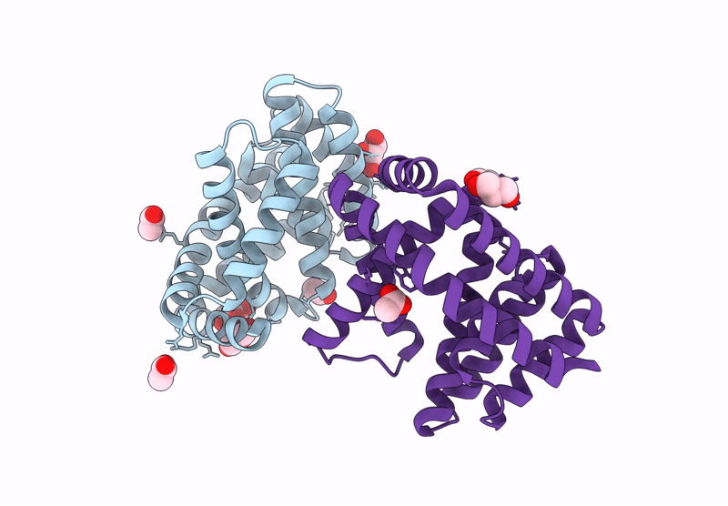 9GBT image