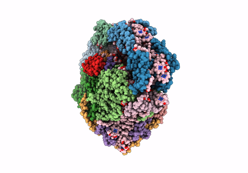 9GC2 image