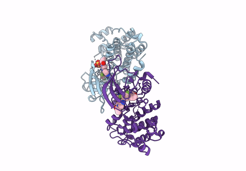 9GC5 image