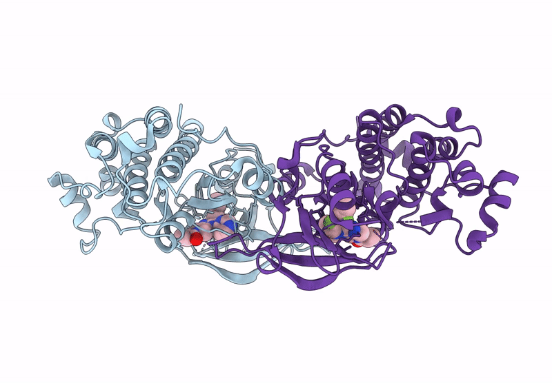 9GC6 image