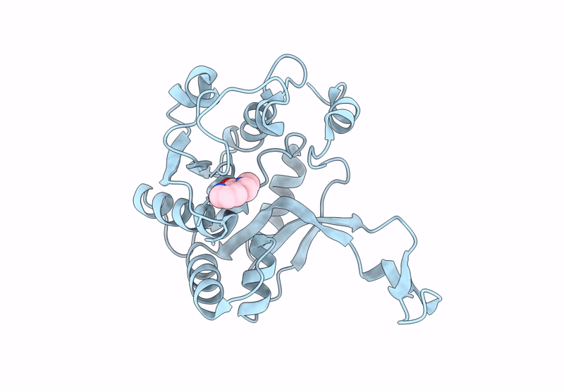 9GCA image