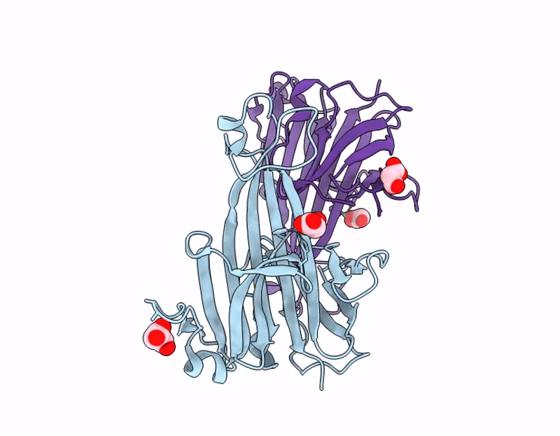 9GCB image
