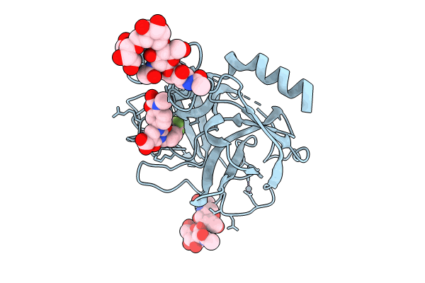9GCD image