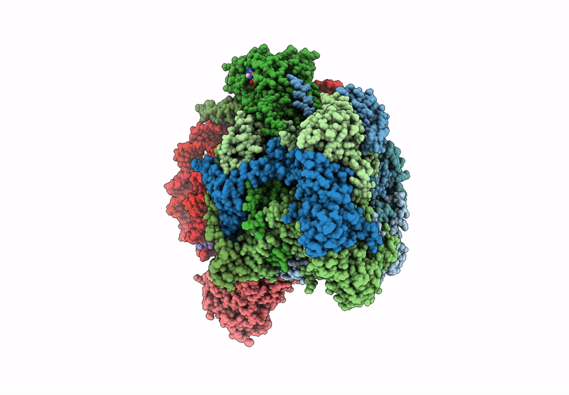 9GCG image