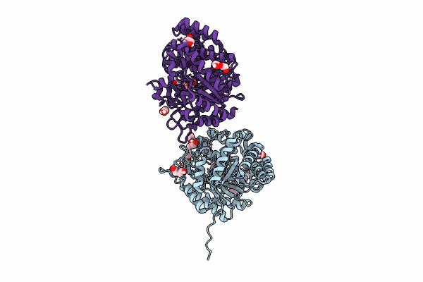 9gci image