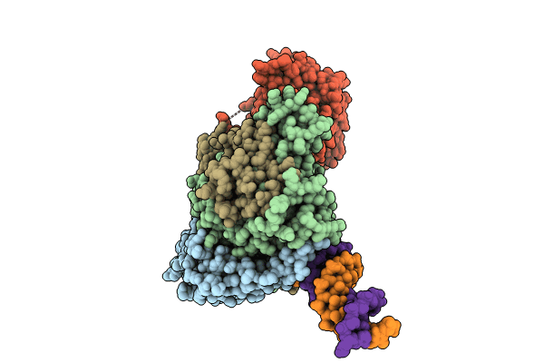 9GCK image