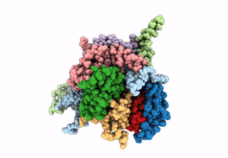 9GCL image