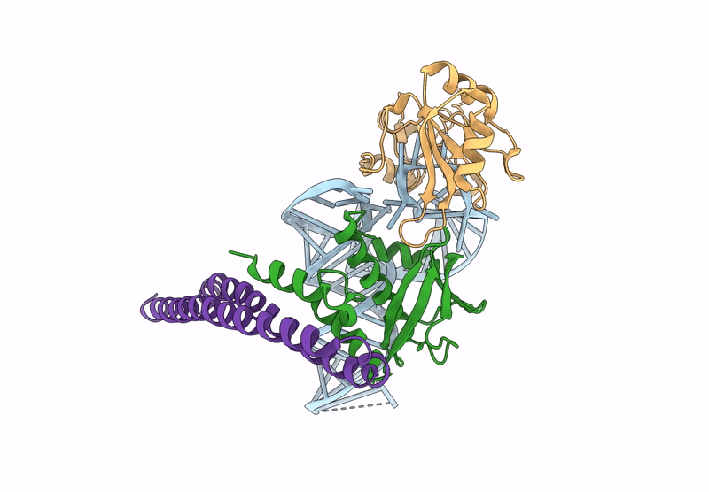 9GCM image