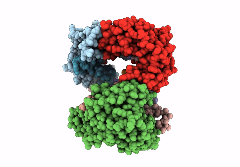 9GCP image