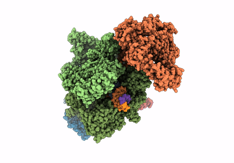 9GDB image