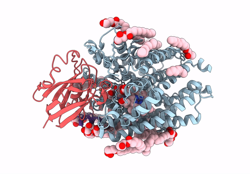9GDF image
