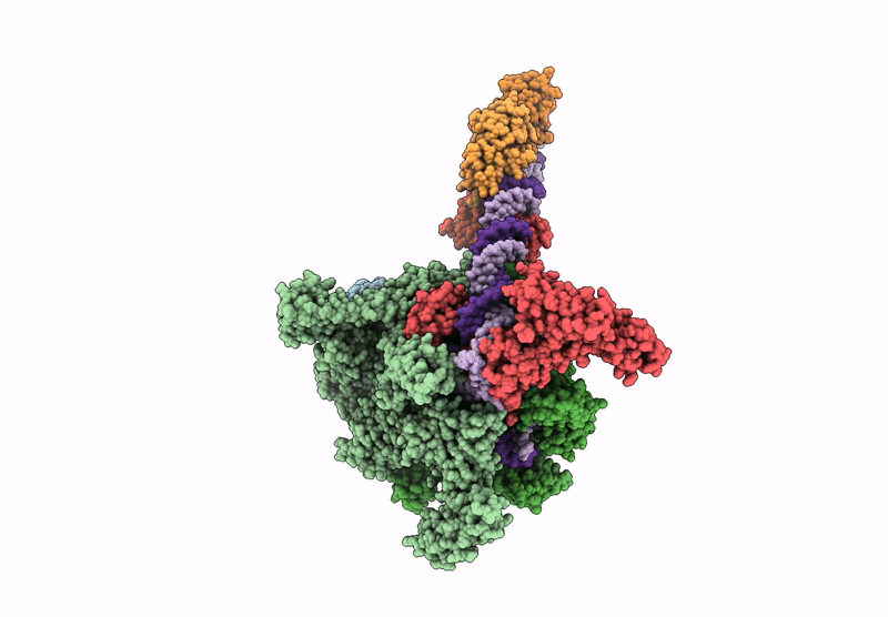 9GDR image