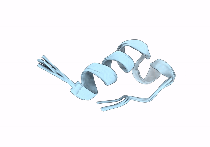 9GDT image