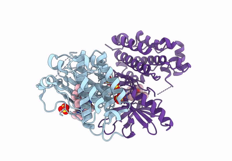 9GDV image