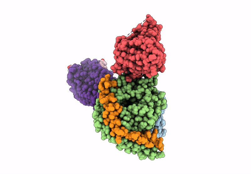 9GE2 image