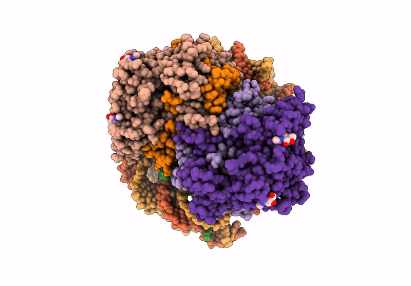 9GEQ image