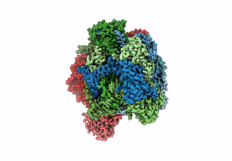 9GEV image