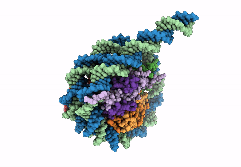 9GF6 image